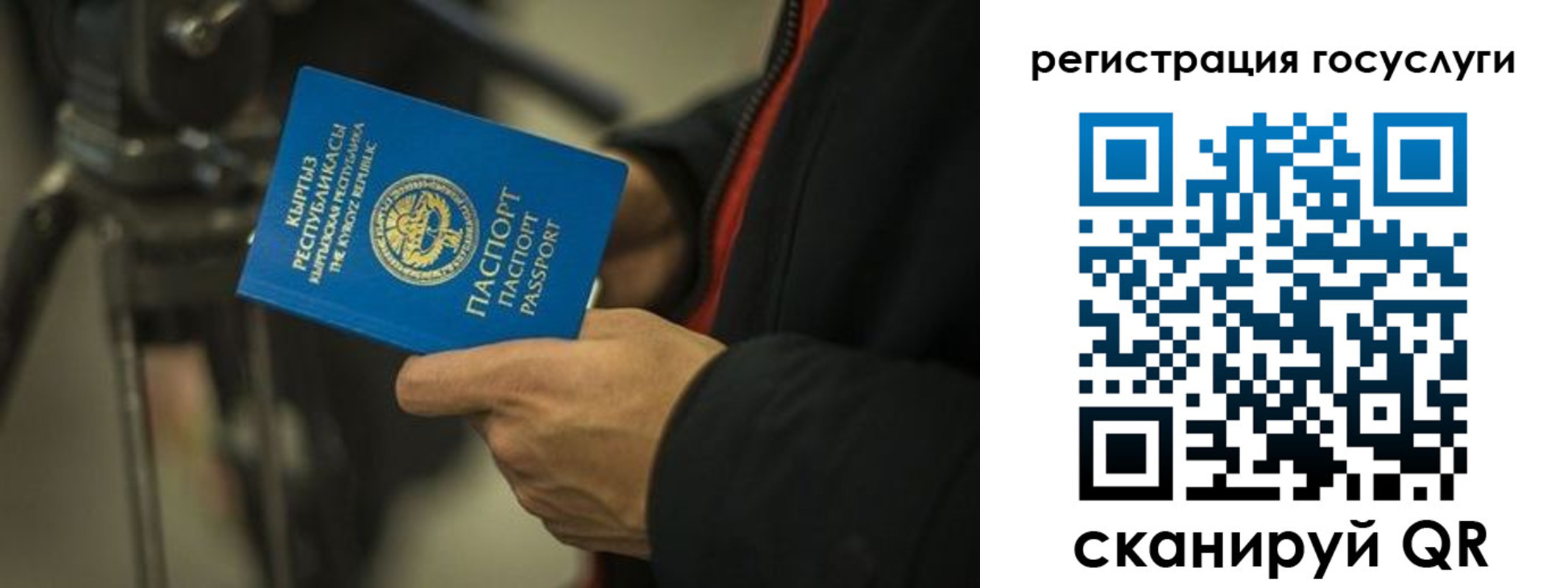 регистрация в Бабаево